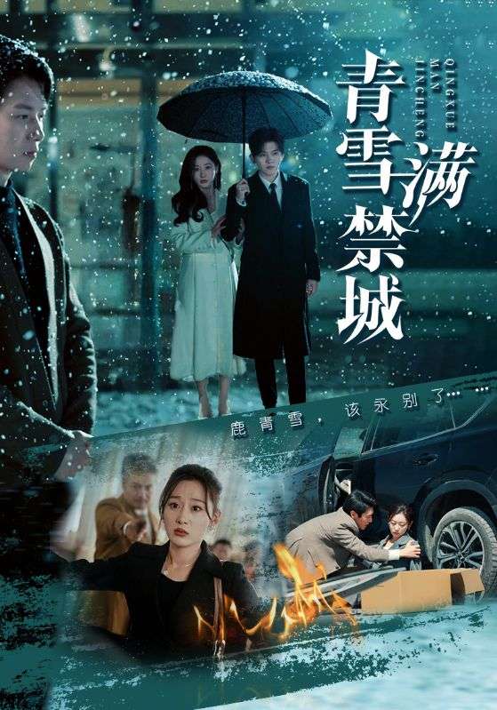 青雪满禁城第26集