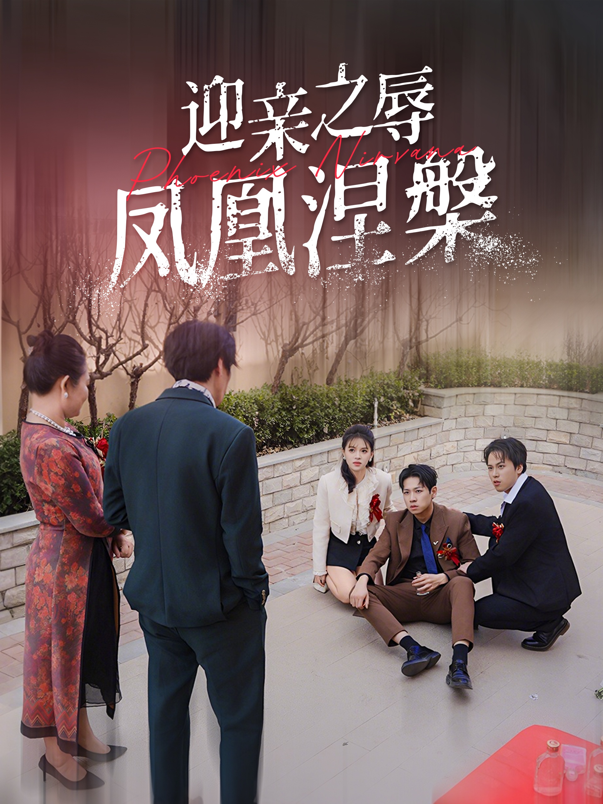 迎亲之辱凤凰涅槃第15集