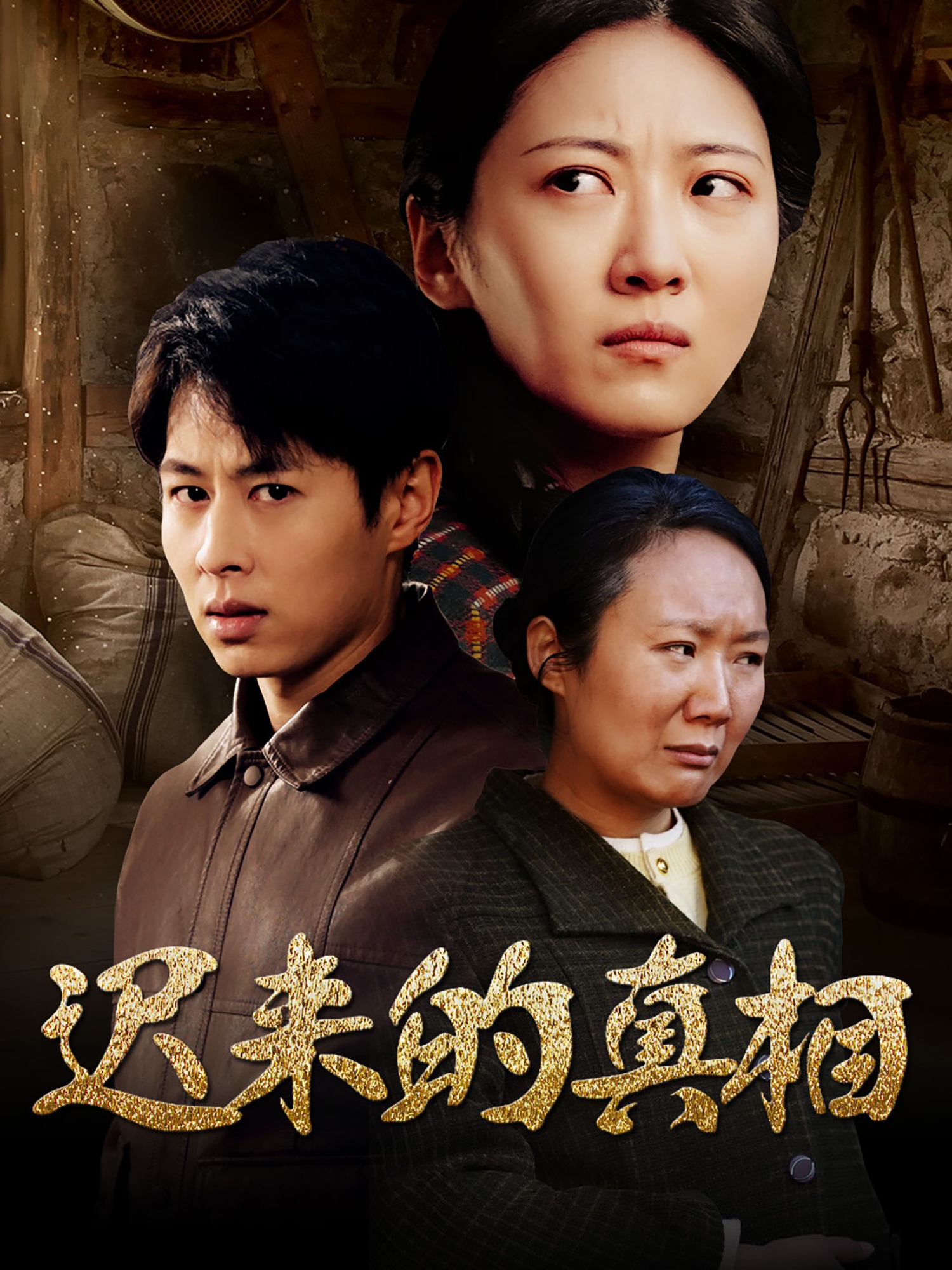 迟来的真相第25集